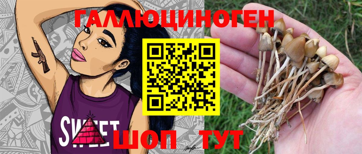 Урюпинск  Псилоцибиновые грибы Magic Shrooms  Вход с VPN  Галлюциногенные грибы Psilocybe 